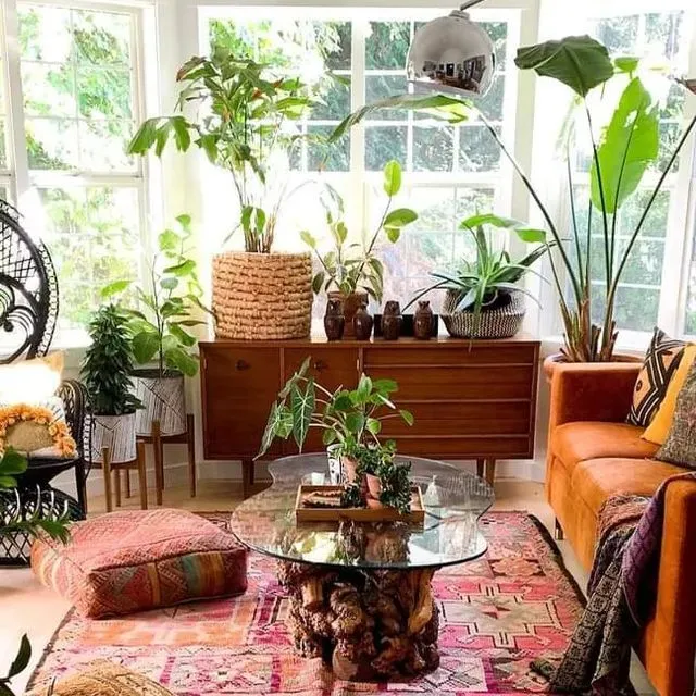 Orange sofa beside a glass coffee table, patterned pink rug and leafy plants