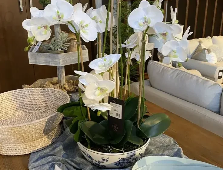Dining Table Centerpiece Ideas for Everyday Meals