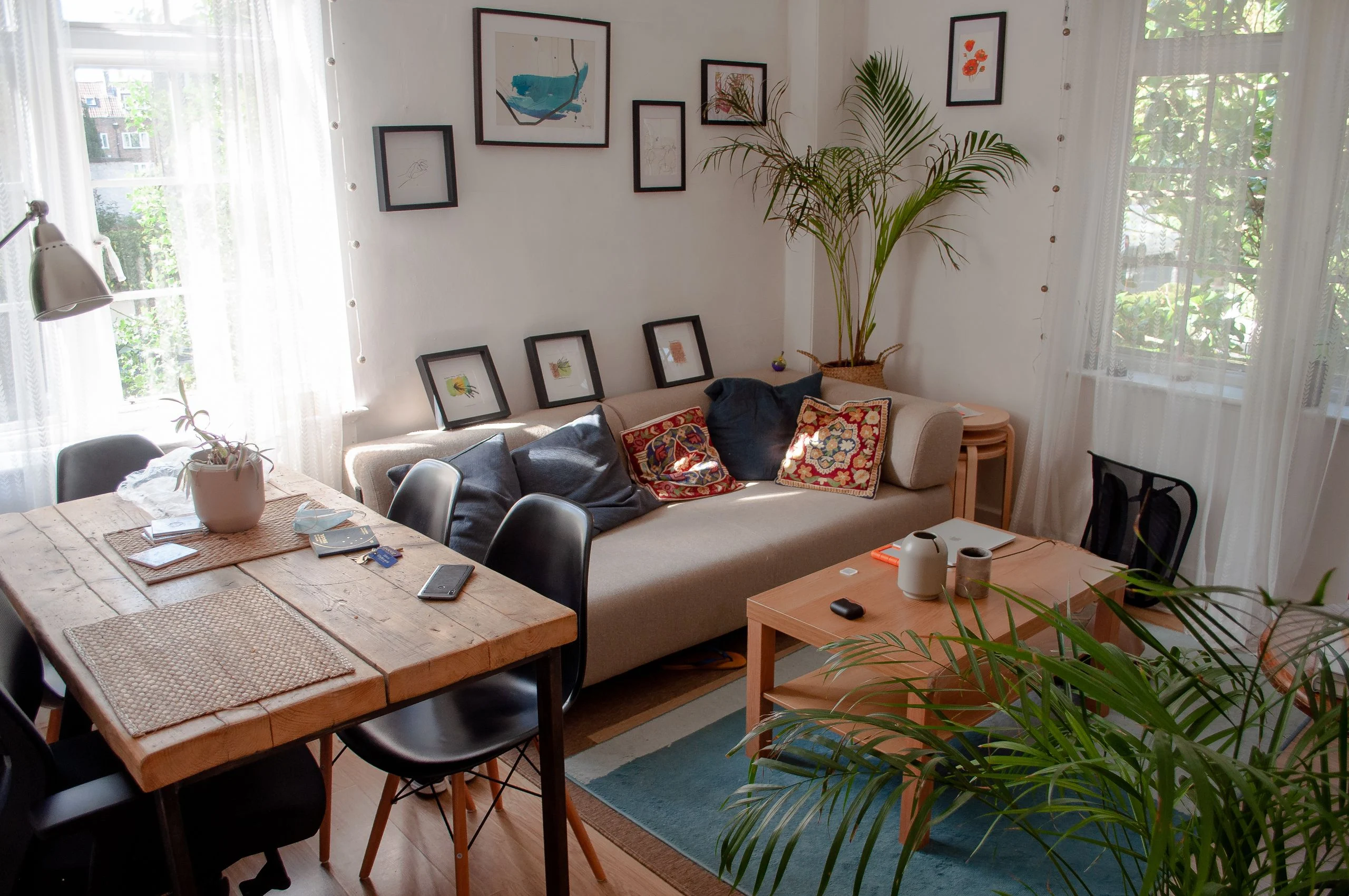 A sunlit living room with a neutral sofa, patterned cushions, wooden tables and leafy plants.