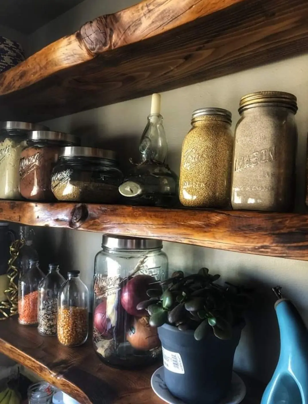Short and tall glass jars with metal lids on thick wood shelves, with narrow bottles and a potted plant below