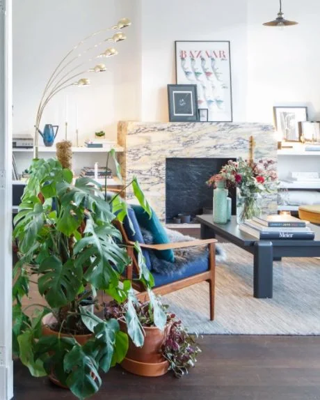 Broad-leaf plants surround an open-frame blue chair beside a pale fireplace.