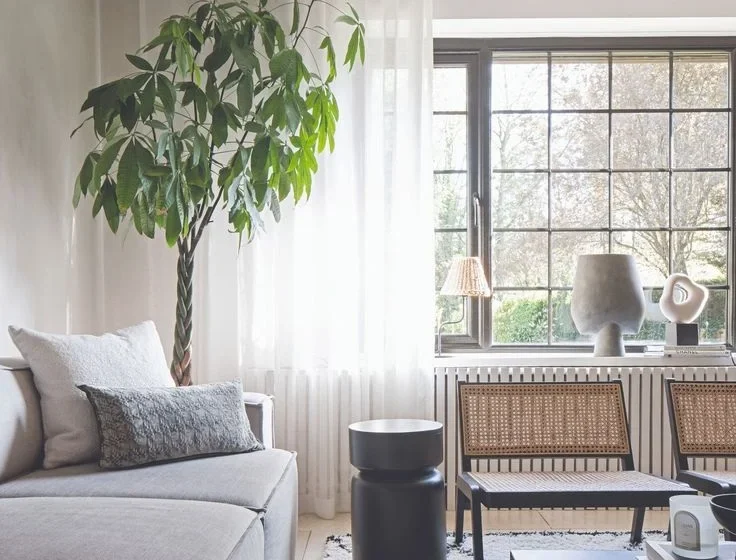 Small Living Room Ideas: Open, Inviting Decor for Apartments