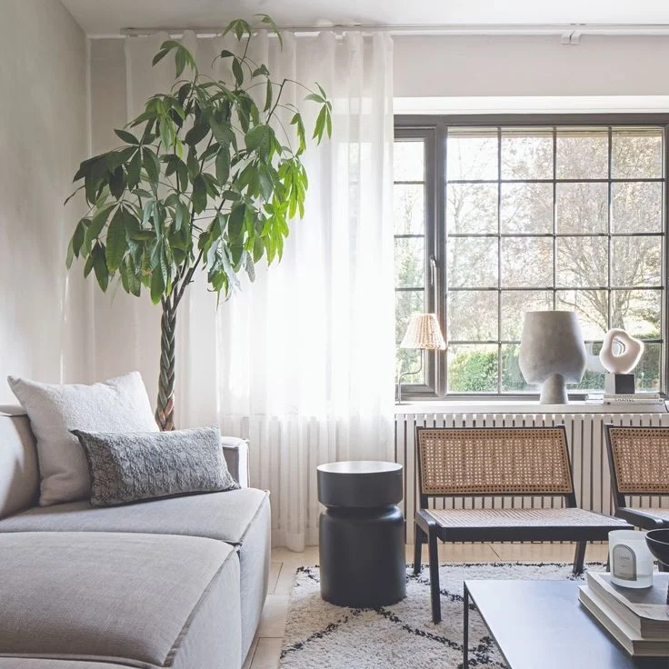 A pale sofa and two slim framed chairs sit beside a window with white sheer curtains.